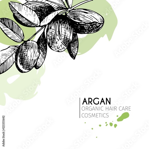 Vector set of hair care ingredients. Organic hand drawn elements. Argan branch.
