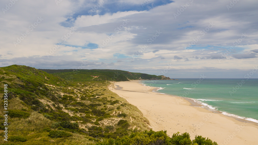 Johanna Beach an der Great Ocean Road in Victoria, Australien