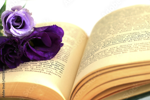 Book and flowers photo