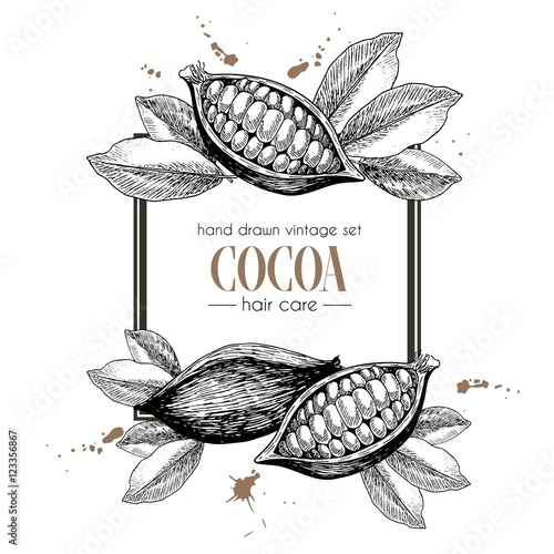 Vector set of hair care ingredients. Organic hand drawn elements. Square border composition.