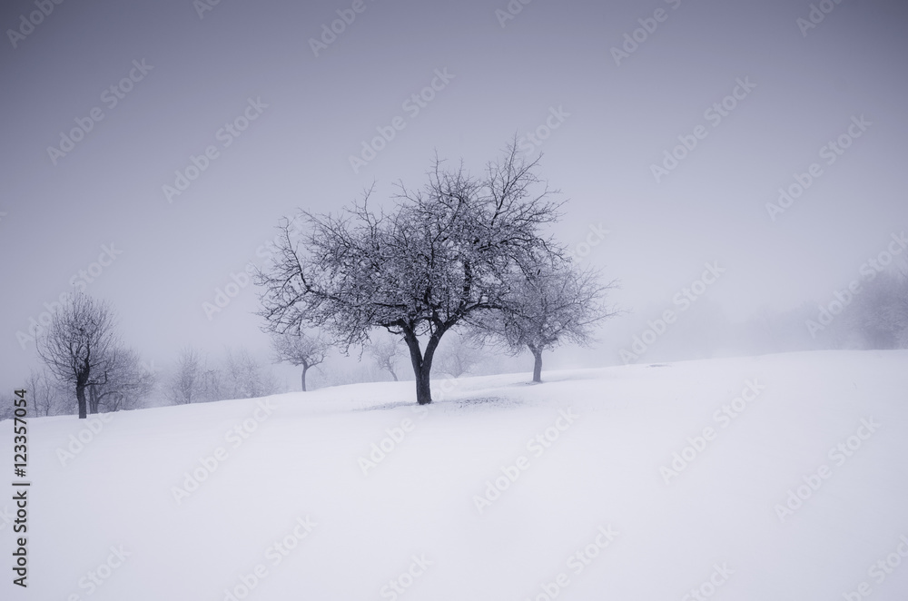 minimal winter landscape with tree and snow minimal winter landscape with tree and snow