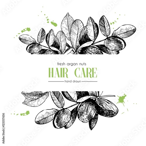 Vector set of hair care ingredients. Organic hand drawn elements. Template for Argan branch.