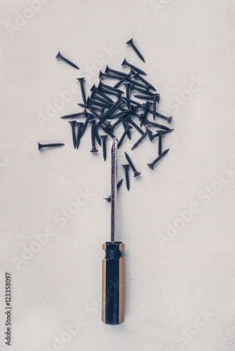 screwdriver and screws on white wooden background