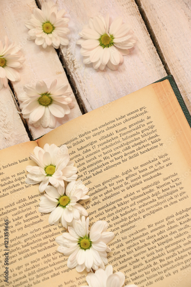 Fototapeta premium Book and flowers