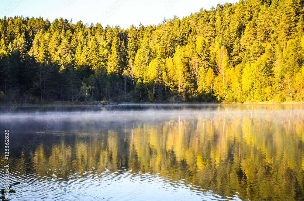 morning fog in autumn landscape norway