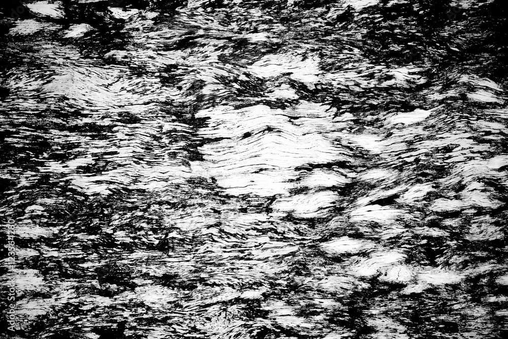 Naklejka premium Black and white old wood grain texture background 