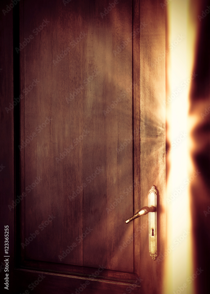 Fototapeta premium Light Trough Gap of Open Door