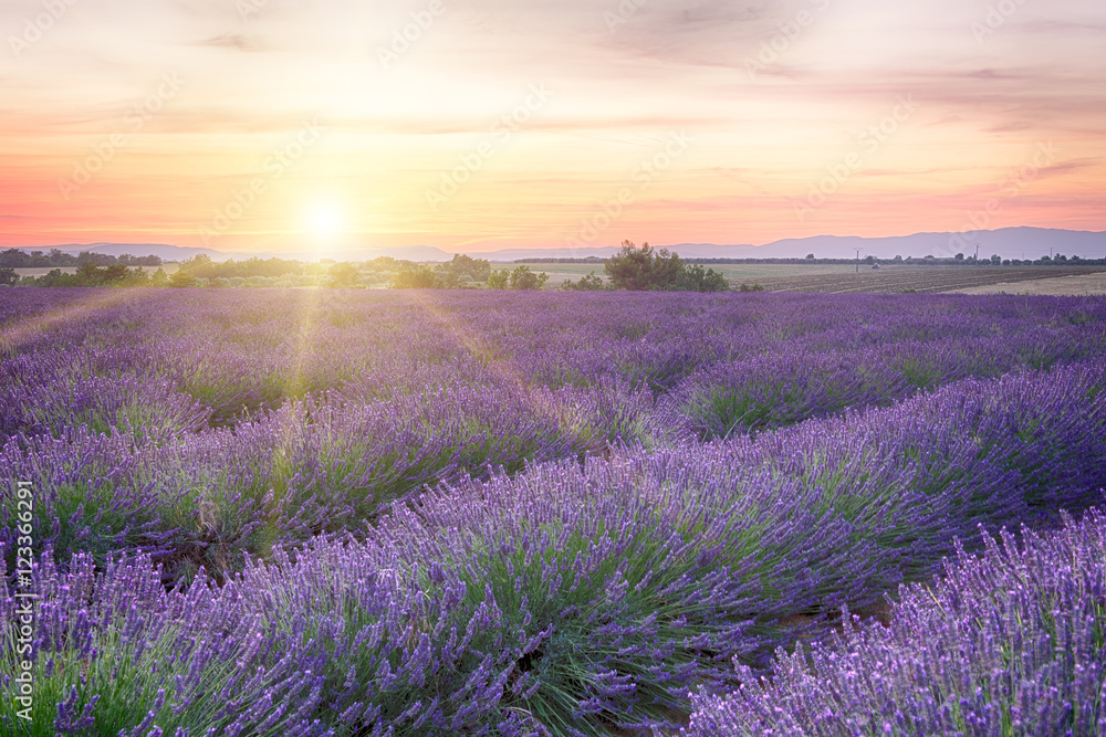 Obraz premium Sunset in Provence
