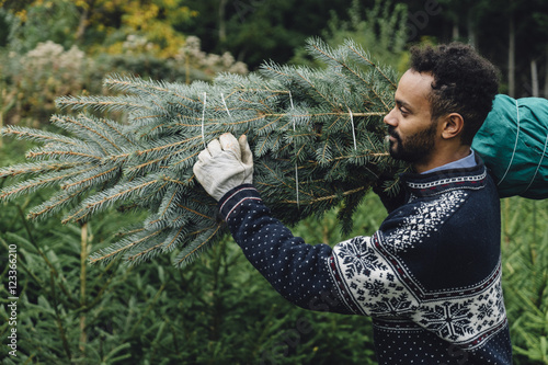 Young adult man choosing a christmas tree at the farm