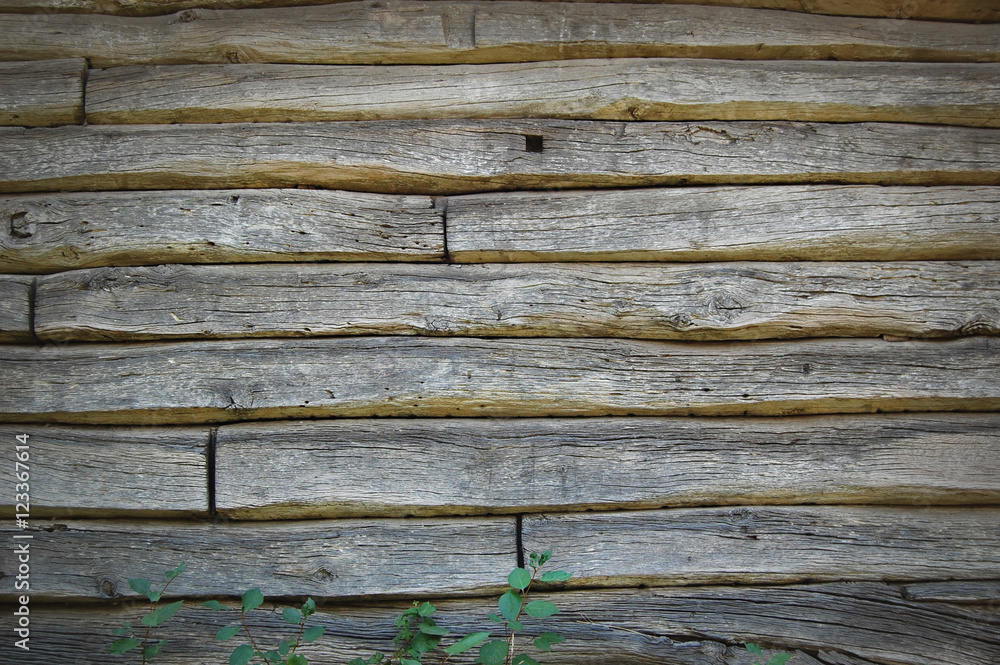 Obraz premium Old wooden fence. wood palisade background. planks texture