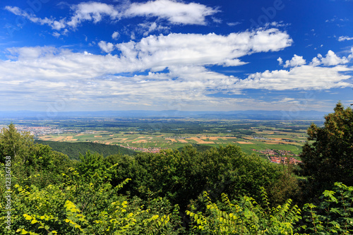 Alsace France Landscape