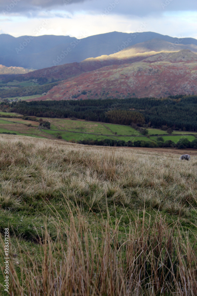 english hills english hills