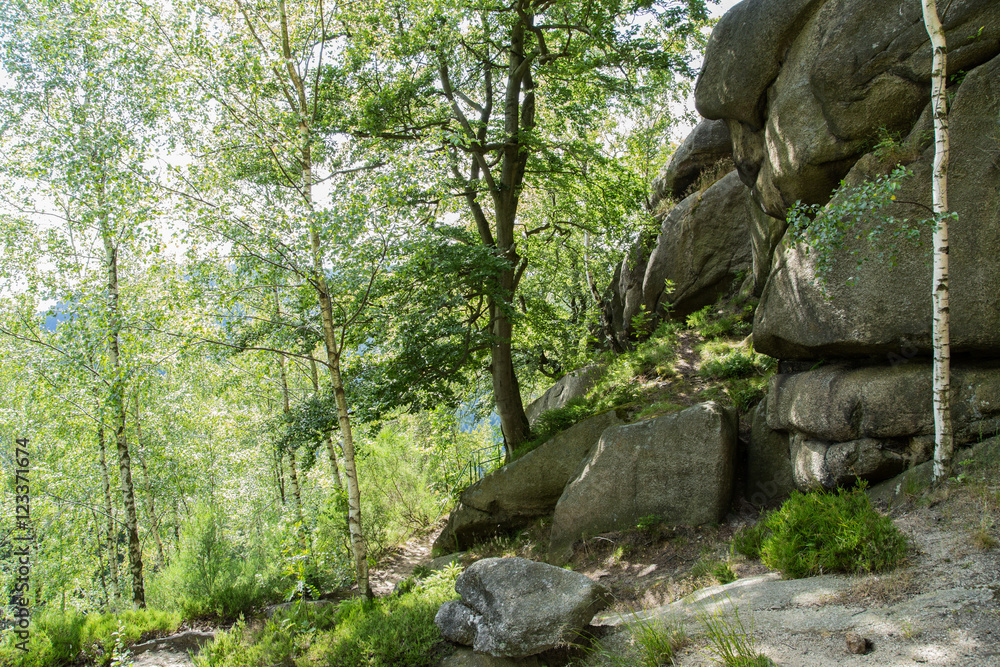 Wanderweg, Landschaft auf dem Treppenstein; Naturpark Harz, Sommer