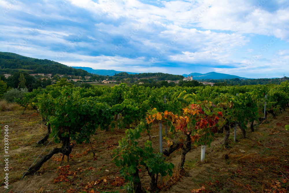 Herbstzeichen in der Provence Herbstzeichen in der Provence