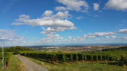 Paysage Plaine D'Alsace (2)