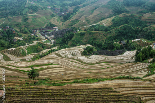 Lonjii rice terraces, Guilin, China photo