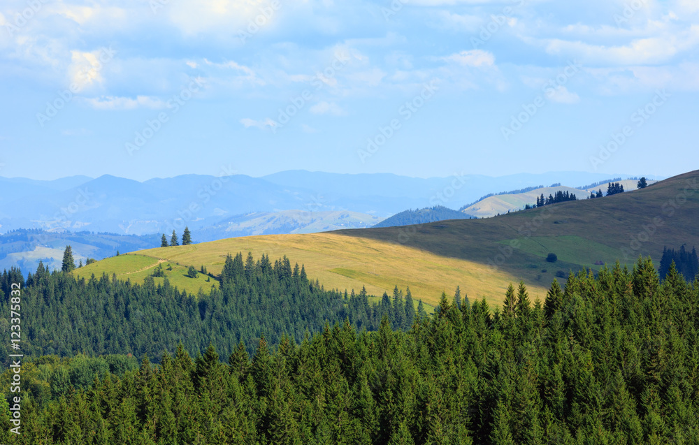 Summer mountain view (Carpathian, Ukraine).