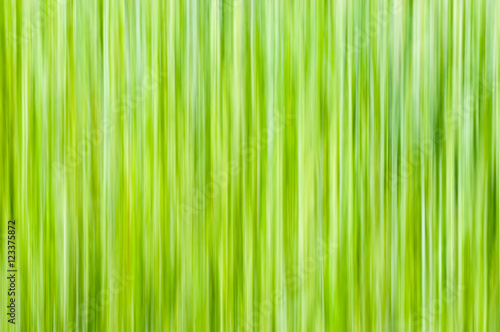 Natural background - vertical lines in yellow-green shades