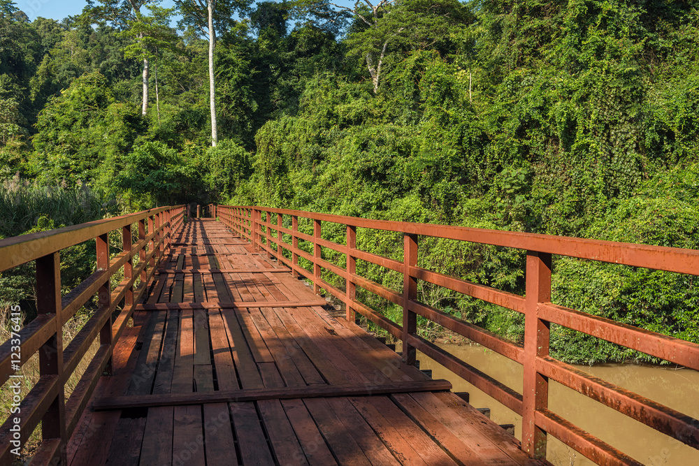 Wooded bridge over the river to forest at Khao Yai National Park, Thailand