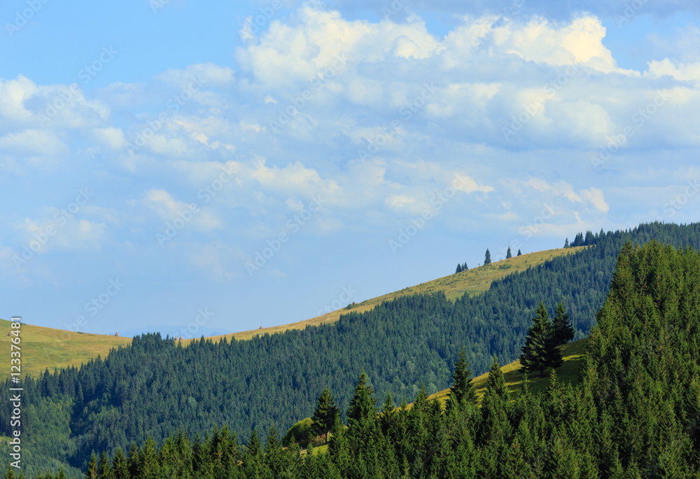 Summer mountain view (Carpathian, Ukraine).