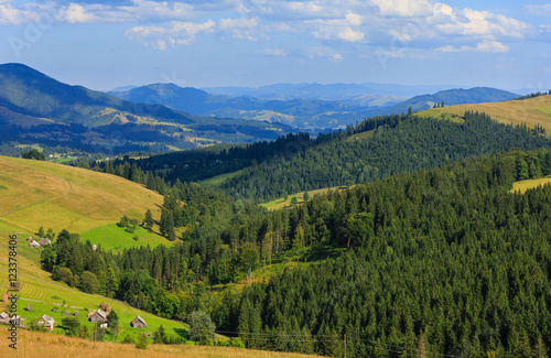 Summer mountain view (Carpathian, Ukraine).