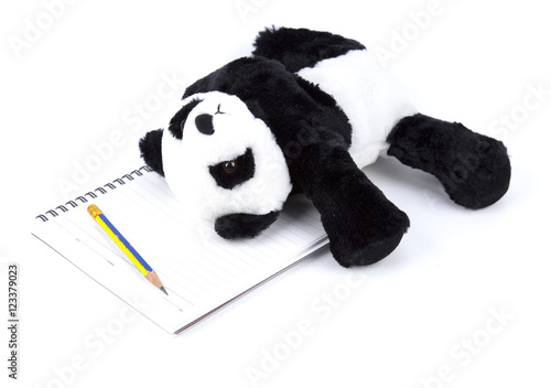 Panda with human daily activity on white isolated   photo