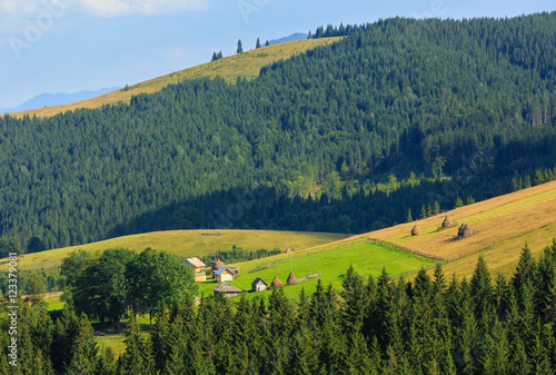 Summer mountain view (Carpathian, Ukraine).