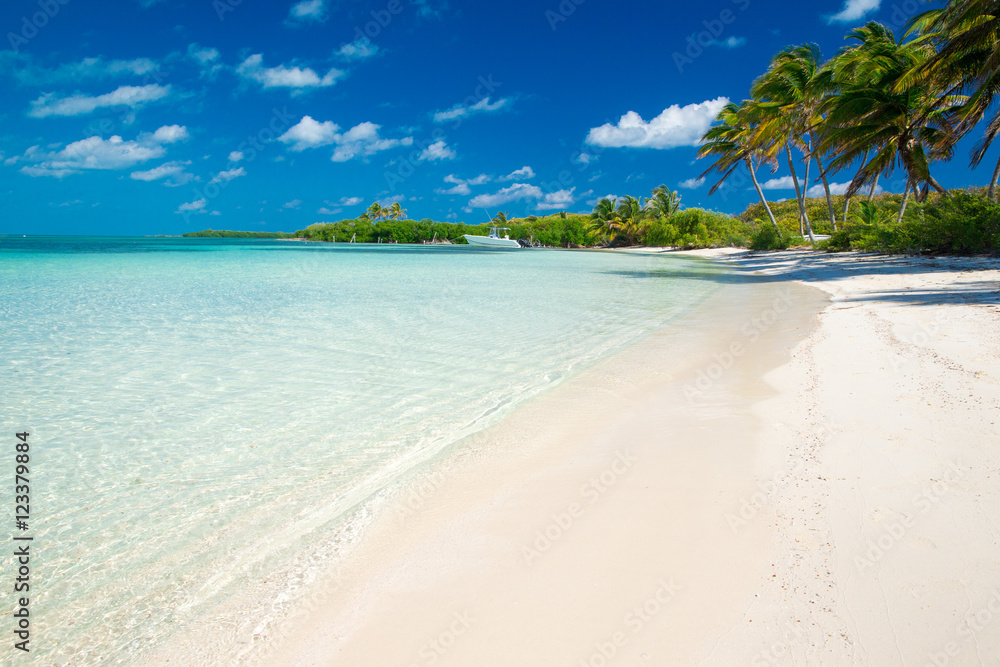 Naklejka premium sea