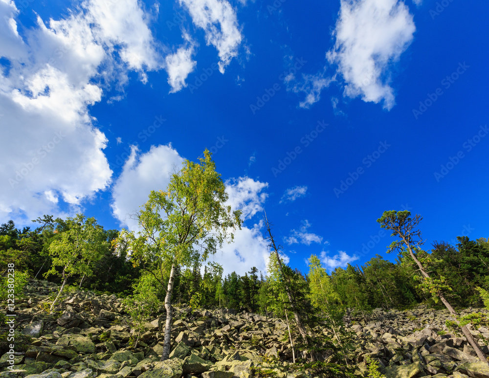Fototapeta premium Summer Ihrovets mountain view (Carpathian, Ukraine).