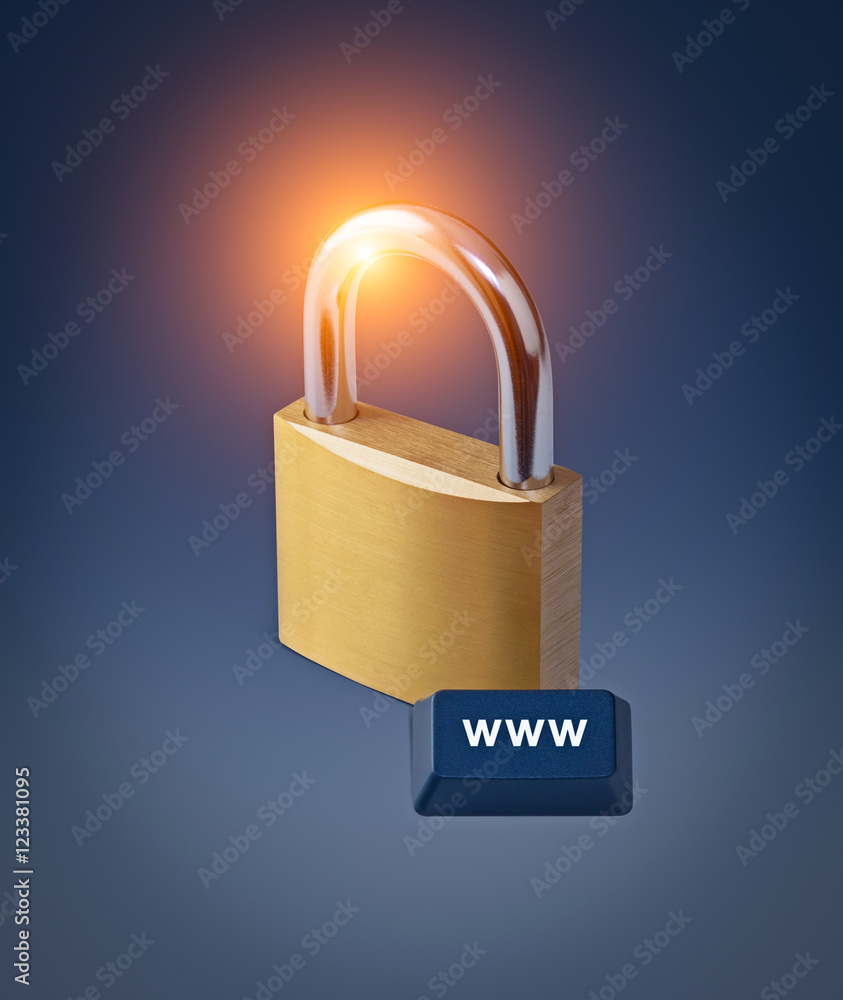 www computer button and padlock. internet security concept. www computer button and padlock. internet security concept.