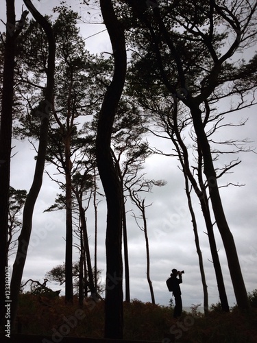 Fotograf neben Bäumen als schwarze Silhouette