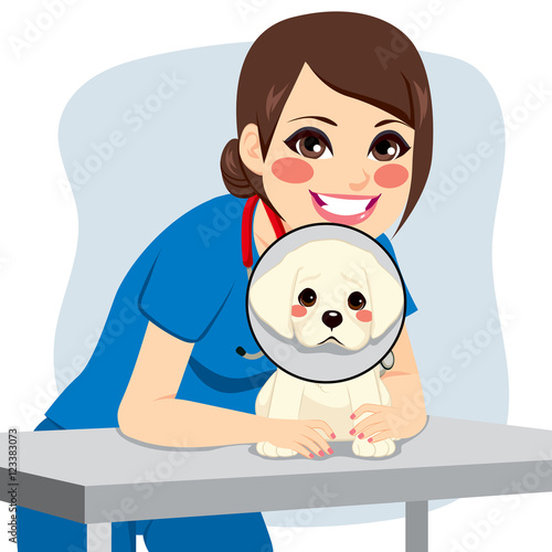 Cute little dog with cone collar and happy female veterinarian