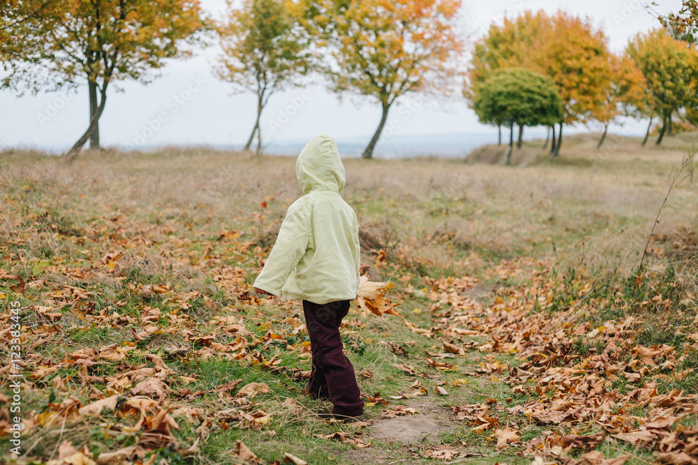 Little girl in the autumn park.with a bouquet of leaves Little girl in the autumn park.with a bouquet of leaves