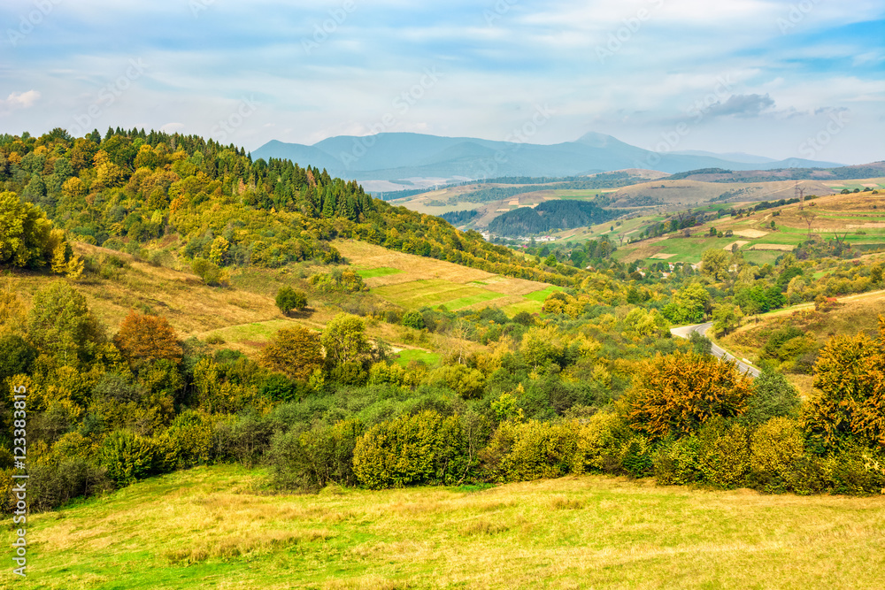 Rural area in Carpathian mountains