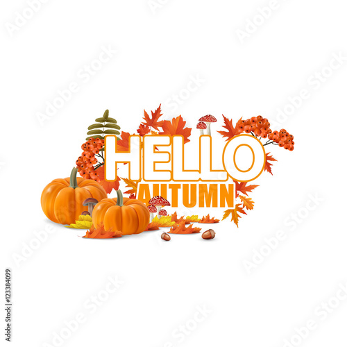 Leaves and autumn things composition. Design of autumn season.Autumn welcome background with hello autumn lettering.