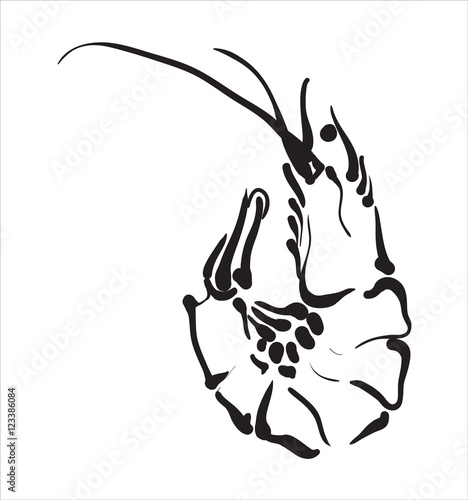 Shrimp icon. Shrimp in vector Isolated on white background.