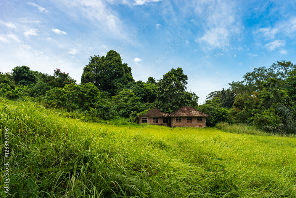 Two old houses in green valley. Bali. Indonesia. Two old houses in green valley. Bali. Indonesia.