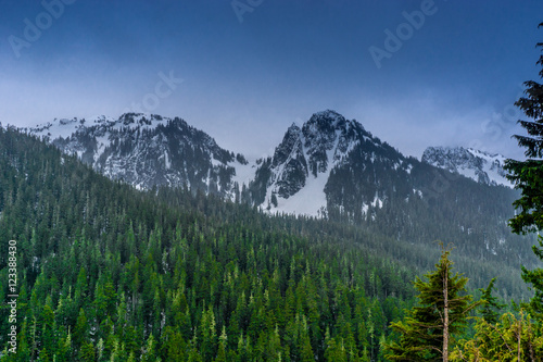 Mt Rainier National Park 5 © kbbeggs