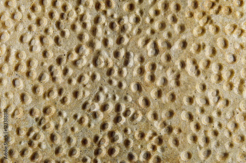 Crispy bread texture with holes chaotic pattern 