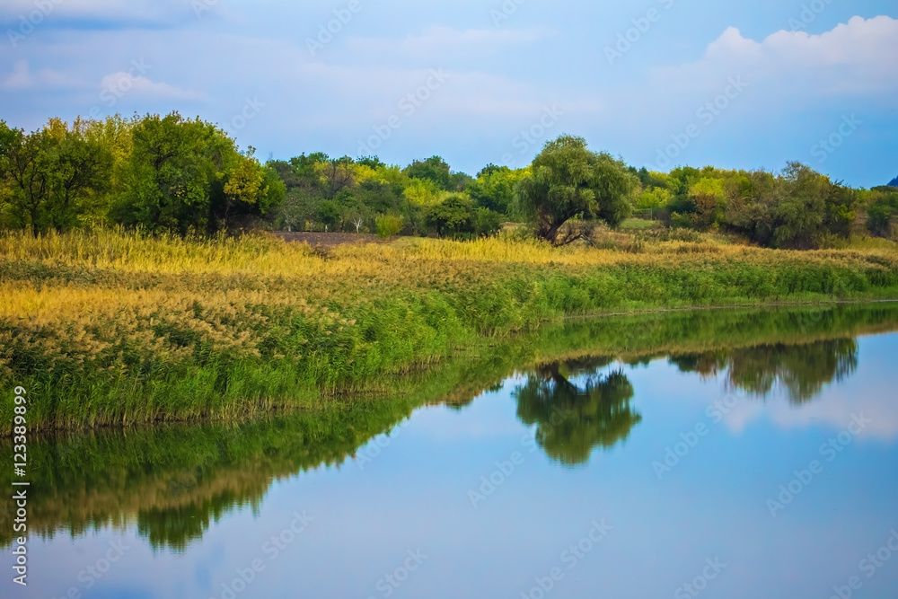 pond with reeds at dusk, sky and reflection in water pond with reeds at dusk, sky and reflection in water
