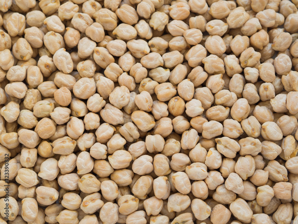 Chick-pea Chick-pea