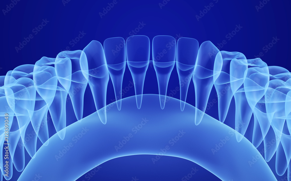 Mouth Gum And Teeth Xray View Medically Accurate Tooth 3d Illustration Stock Illustration