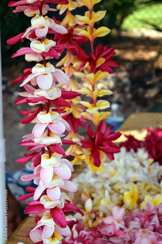 hawaiian colorful plumeria lei necklaces