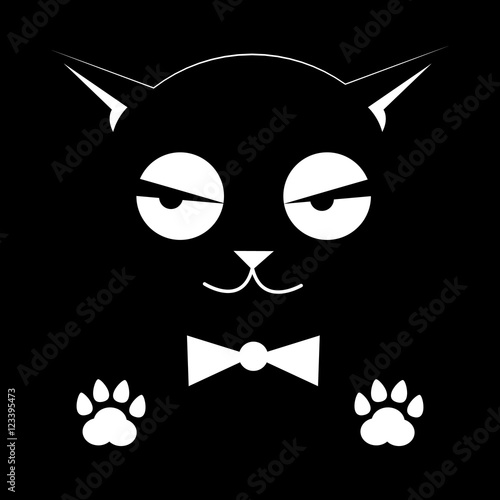 Black cat on a black background. Elegant