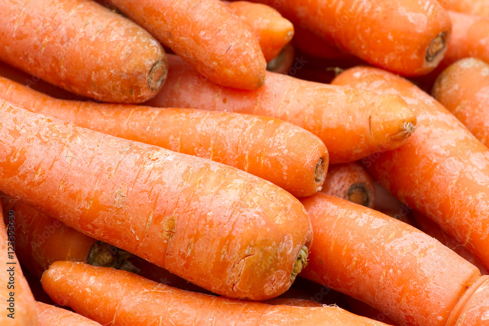 Carrot red background. Fresh organic vegetables Carrot red background. Fresh organic vegetables