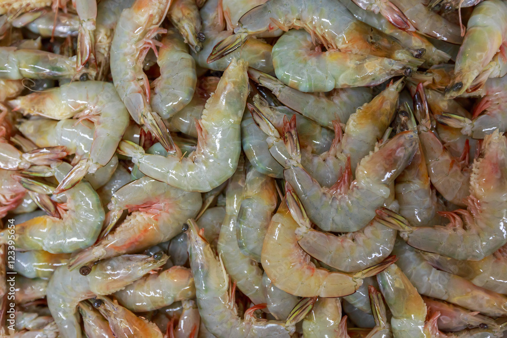Fresh shrimp background