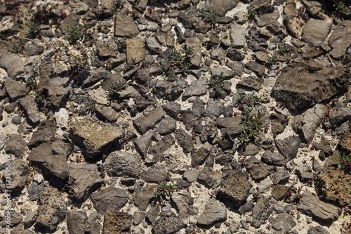 Φωτογραφία Weather worn Lava rock at the Thule Valley Hardpan (Ibex)