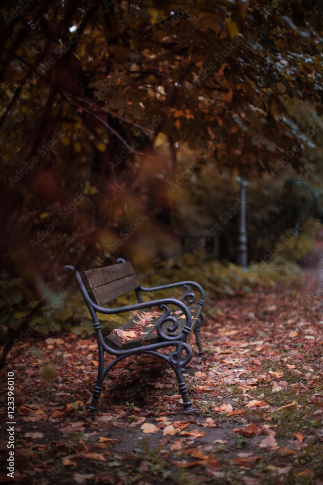 Fall Scene on a Park with Bench, Trees and Fallen Red and Yellow Leaves