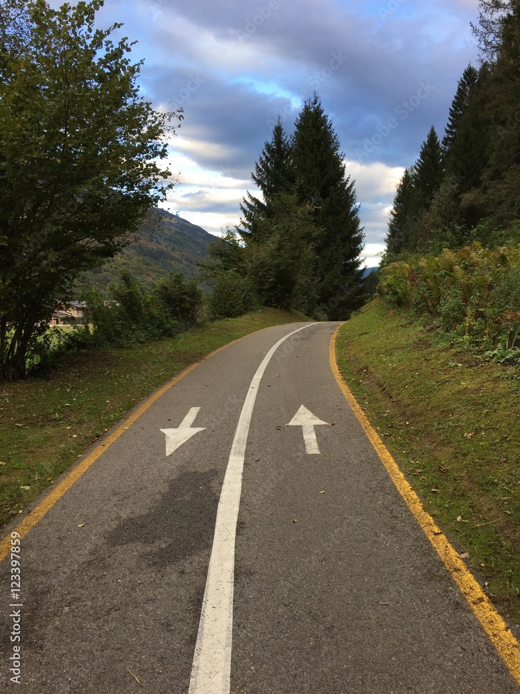 Fototapeta premium strada stradina strada pedonale strada ciclabile frecce su strada camminare viaggiare guidare 