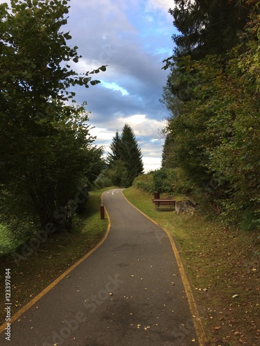 strada stradina strada pedonale strada ciclabile frecce su strada camminare viaggiare guidare 